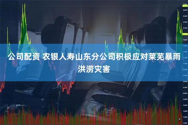 公司配资 农银人寿山东分公司积极应对莱芜暴雨洪涝灾害